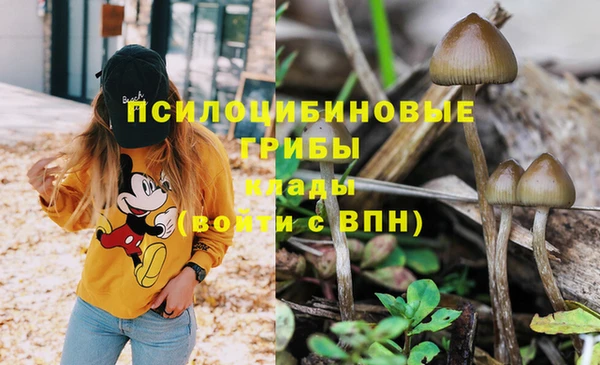 дживик Беломорск