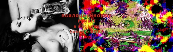 дживик Беломорск