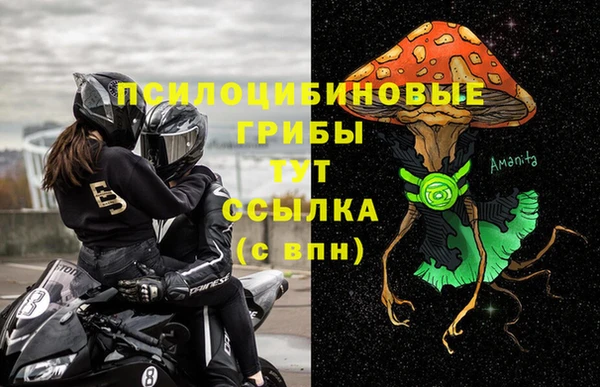дживик Беломорск