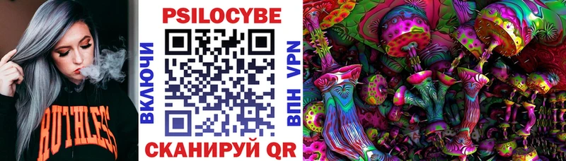 закладка  Нерюнгри  Галлюциногенные грибы MAGIC MUSHROOMS 